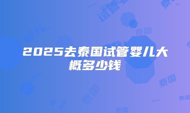 2025去泰国试管婴儿大概多少钱