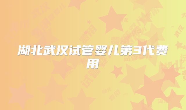 湖北武汉试管婴儿第3代费用