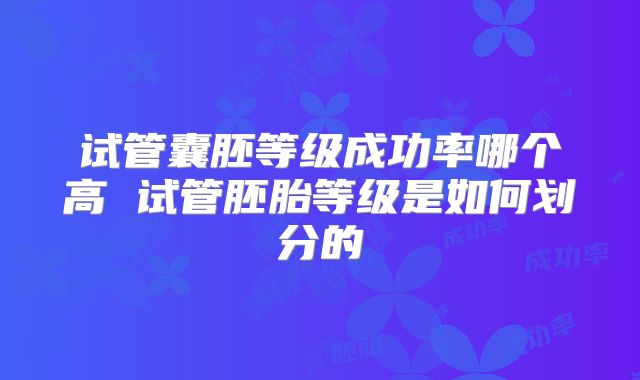 试管囊胚等级成功率哪个高 试管胚胎等级是如何划分的