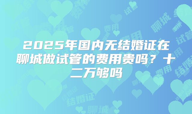 2025年国内无结婚证在聊城做试管的费用贵吗？十二万够吗