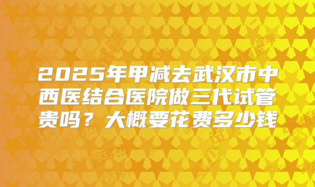 2025年甲减去武汉市中西医结合医院做三代试管贵吗?大概要花费多少钱