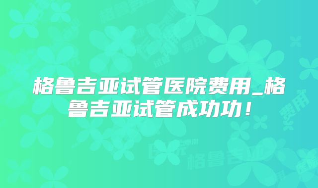格鲁吉亚试管医院费用_格鲁吉亚试管成功功!