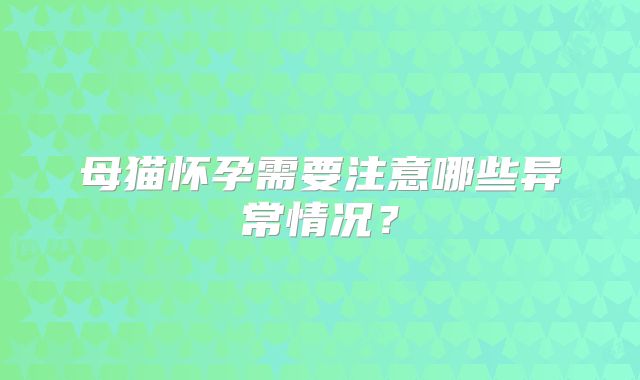 母猫怀孕需要注意哪些异常情况？