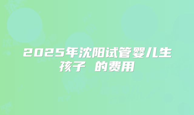 2025年沈阳试管婴儿生孩子 的费用