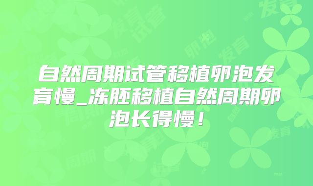 自然周期试管移植卵泡发育慢_冻胚移植自然周期卵泡长得慢!