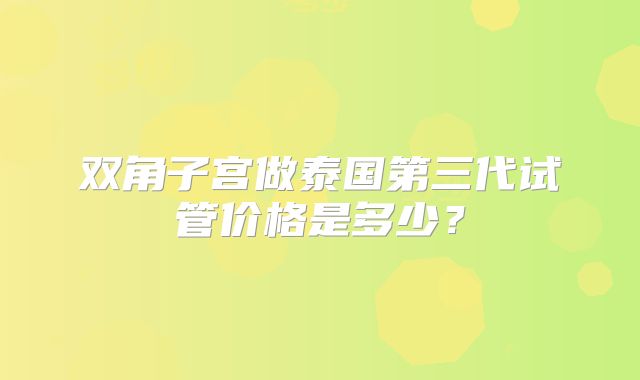 双角子宫做泰国第三代试管价格是多少？