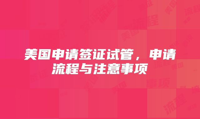 美国申请签证试管，申请流程与注意事项