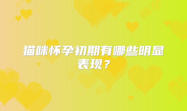 猫咪怀孕初期有哪些明显表现?