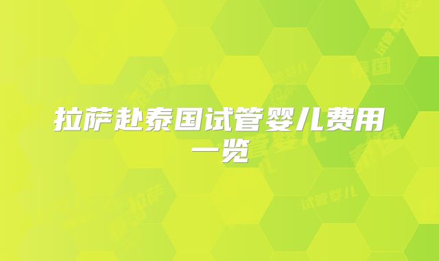 拉萨赴泰国试管婴儿费用一览