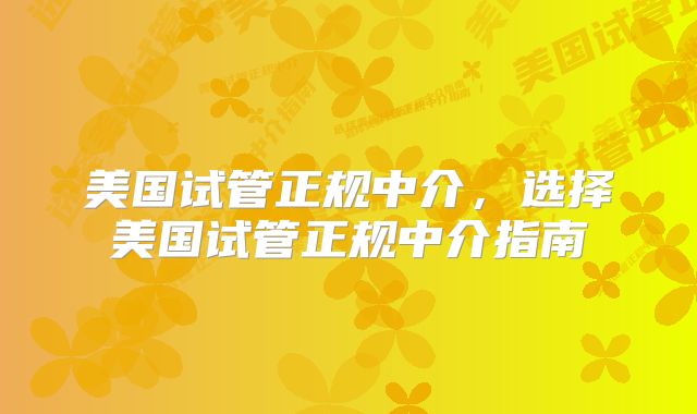 美国试管正规中介，选择美国试管正规中介指南