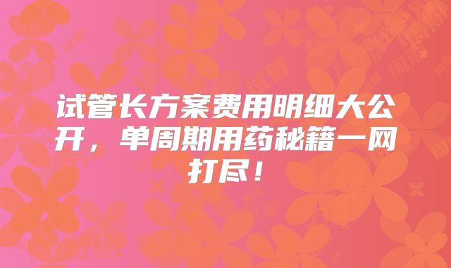 试管长方案费用明细大公开,单周期用药秘籍一网打尽!