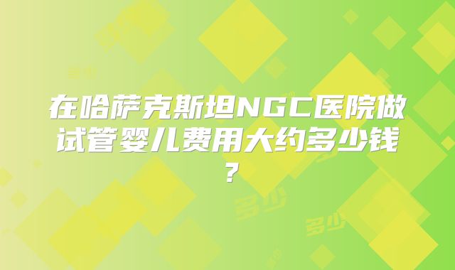 在哈萨克斯坦NGC医院做试管婴儿费用大约多少钱？