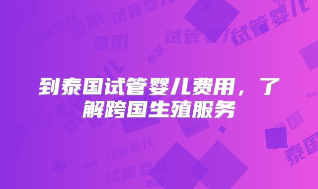 到泰国试管婴儿费用,了解跨国生殖服务