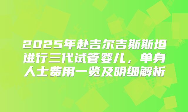 2025年赴吉尔吉斯斯坦进行三代试管婴儿，单身人士费用一览及明细解析