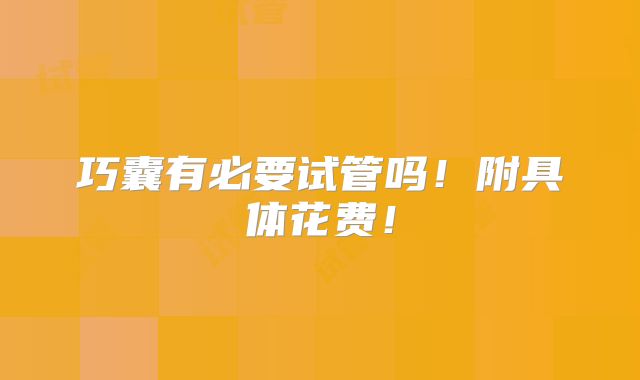 巧囊有必要试管吗!附具体花费!