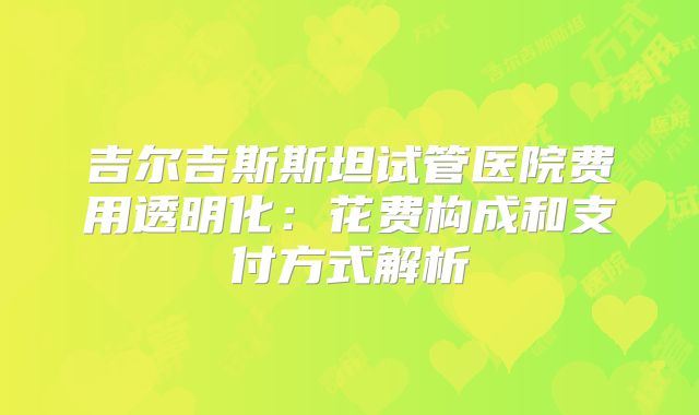 吉尔吉斯斯坦试管医院费用透明化:花费构成和支付方式解析