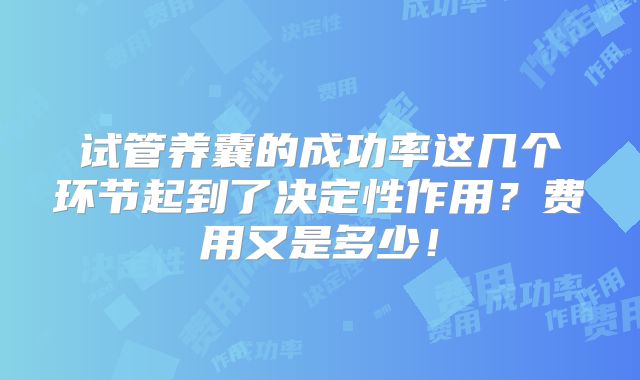 试管养囊的成功率这几个环节起到了决定性作用?费用又是多少!