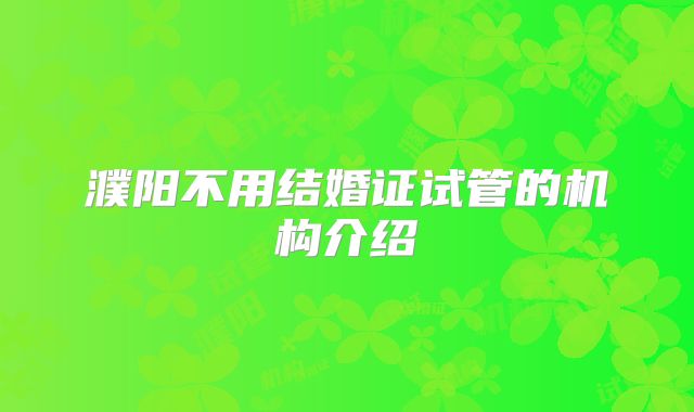 濮阳不用结婚证试管的机构介绍