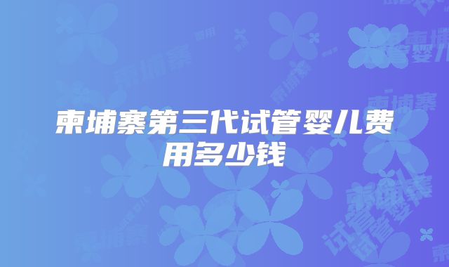 柬埔寨第三代试管婴儿费用多少钱