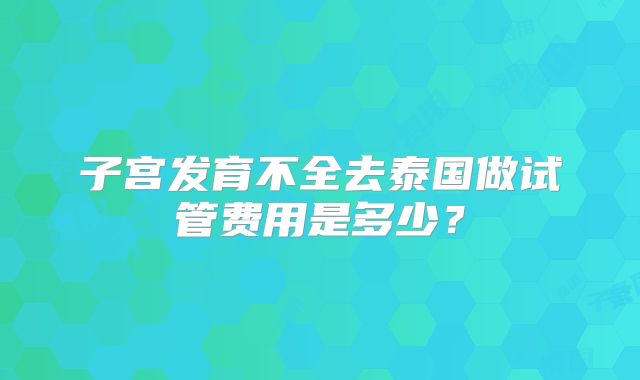 子宫发育不全去泰国做试管费用是多少？