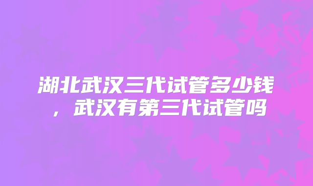 湖北武汉三代试管多少钱,武汉有第三代试管吗