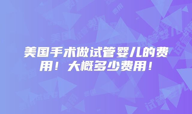 美国手术做试管婴儿的费用!大概多少费用!