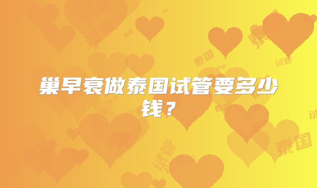 巢早衰做泰国试管要多少钱？