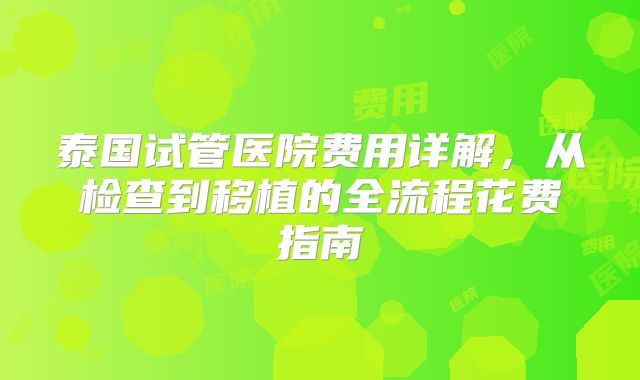 泰国试管医院费用详解，从检查到移植的全流程花费指南