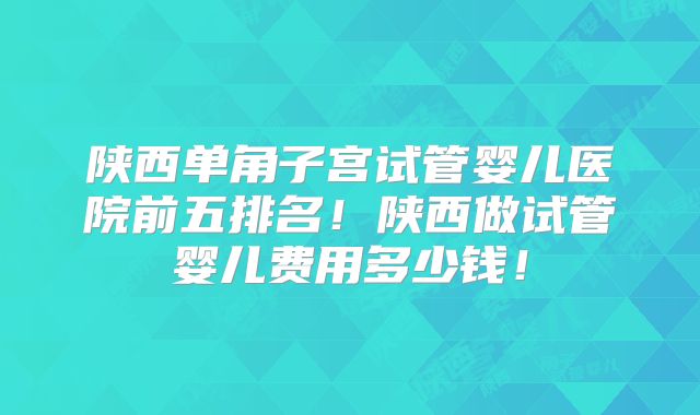 陕西单角子宫试管婴儿医院前五排名!陕西做试管婴儿费用多少钱!