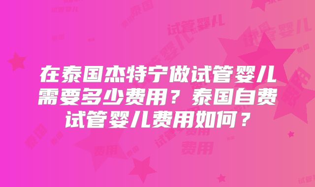 在泰国杰特宁做试管婴儿需要多少费用？泰国自费试管婴儿费用如何？