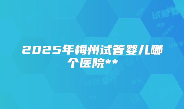 2025年梅州试管婴儿哪个医院**