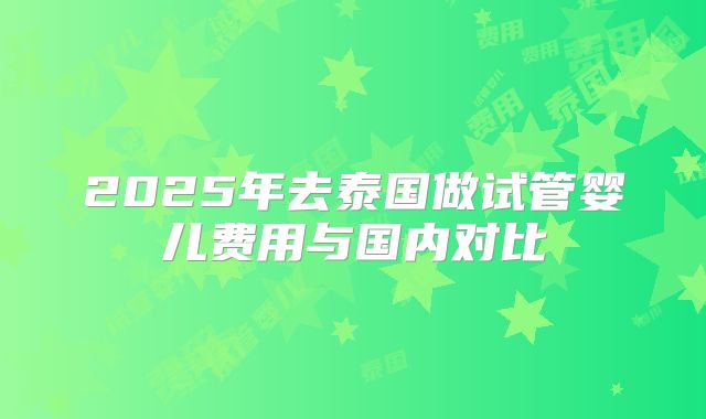 2025年去泰国做试管婴儿费用与国内对比