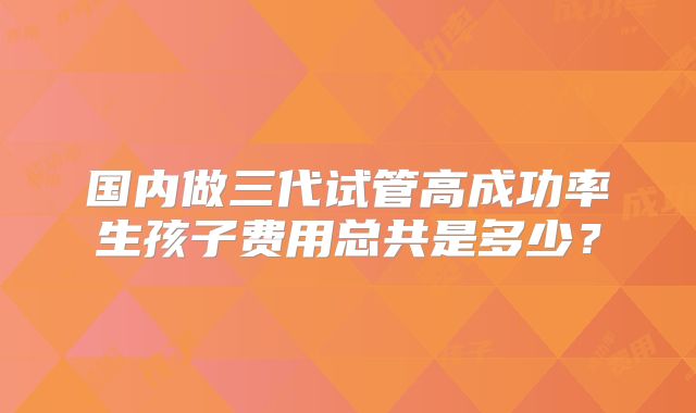 国内做三代试管高成功率生孩子费用总共是多少？