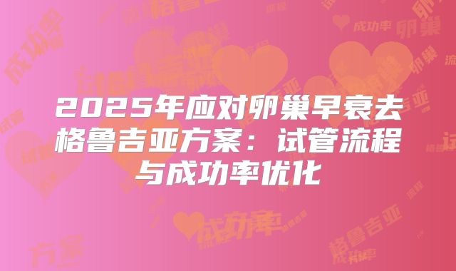 2025年应对卵巢早衰去格鲁吉亚方案：试管流程与成功率优化