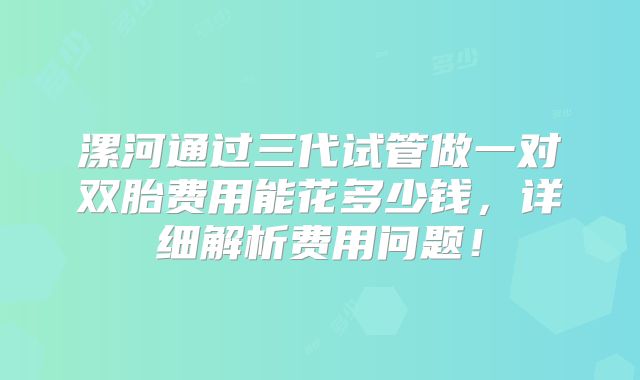漯河通过三代试管做一对双胎费用能花多少钱,详细解析费用问题!