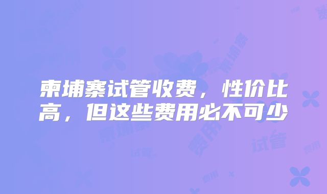 柬埔寨试管收费,性价比高,但这些费用必不可少