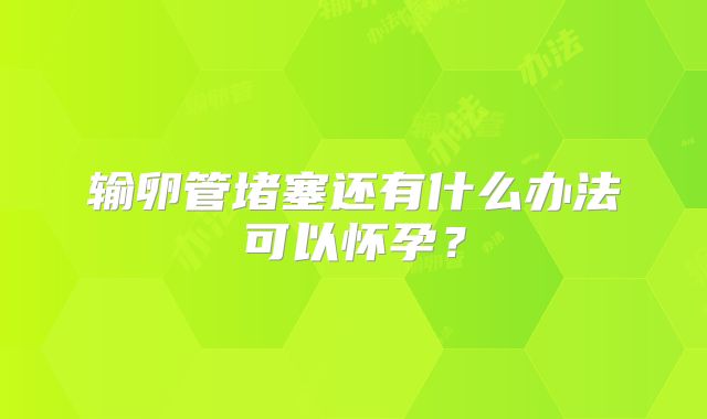 输卵管堵塞还有什么办法可以怀孕?