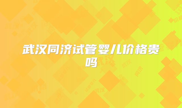 武汉同济试管婴儿价格贵吗