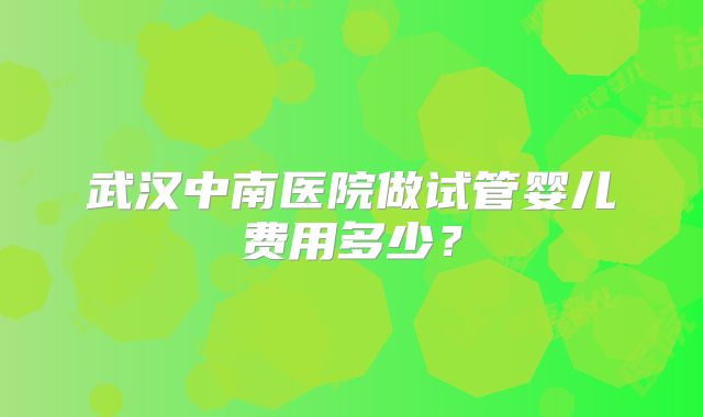 武汉中南医院做试管婴儿费用多少？