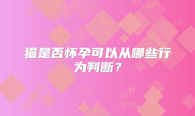 猫是否怀孕可以从哪些行为判断？