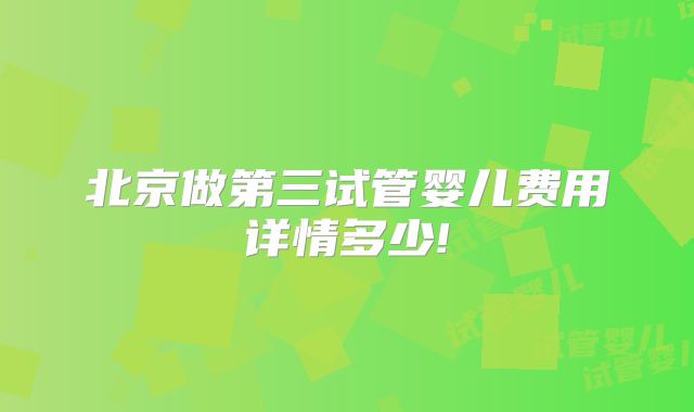 北京做第三试管婴儿费用详情多少!