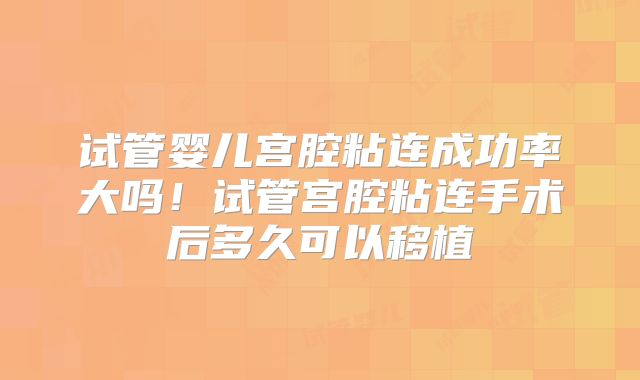 试管婴儿宫腔粘连成功率大吗！试管宫腔粘连手术后多久可以移植