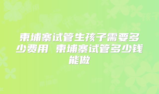 柬埔寨试管生孩子需要多少费用 柬埔寨试管多少钱能做