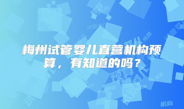 梅州试管婴儿直营机构预算，有知道的吗？