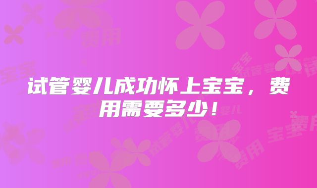 试管婴儿成功怀上宝宝，费用需要多少！