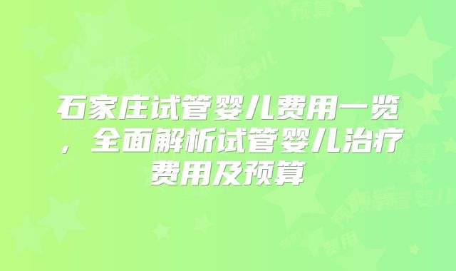 石家庄试管婴儿费用一览，全面解析试管婴儿治疗费用及预算