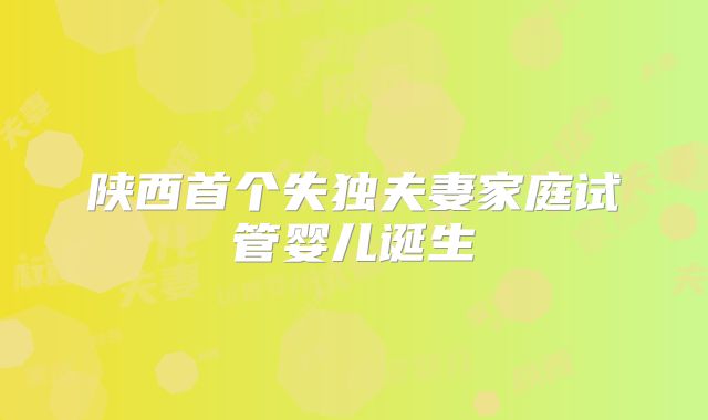 陕西首个失独夫妻家庭试管婴儿诞生