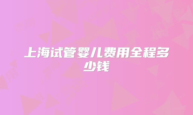 上海试管婴儿费用全程多少钱