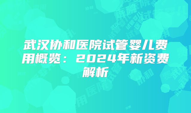 武汉协和医院试管婴儿费用概览：2024年新资费解析