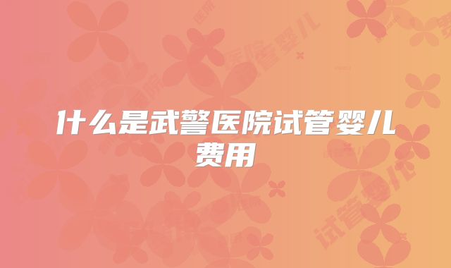 什么是武警医院试管婴儿费用